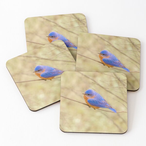 Item preview, Beautiful Blue and Orange Bird with Ruffled Feathers designed and sold by SafariByMarisa.