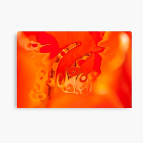 orange acquerello Canvas Print