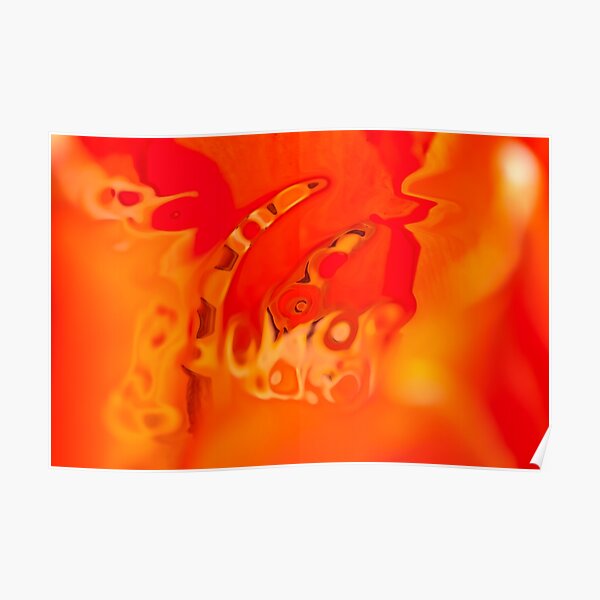 orange acquerello Poster