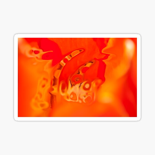orange acquerello Sticker