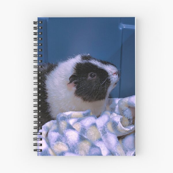 Item preview, Cute male guinea pig looking up designed and sold by artbymisterfatz.