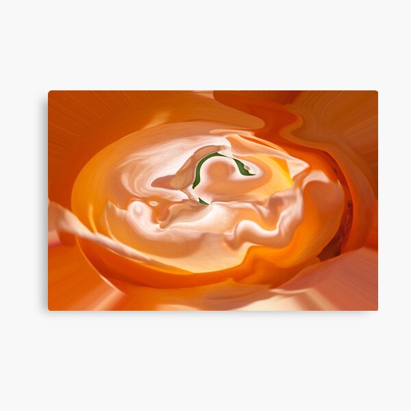 orange light and shade Canvas Print