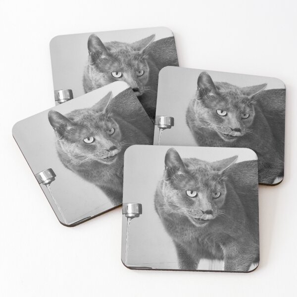Item preview, cat drinking from the tap designed and sold by jpaul thibaut.