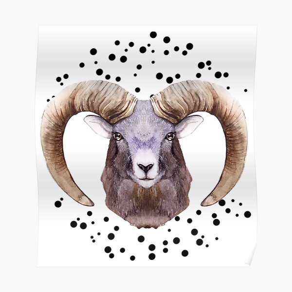 Big horn sheep  ram tattoo by Haylo TattooNOW
