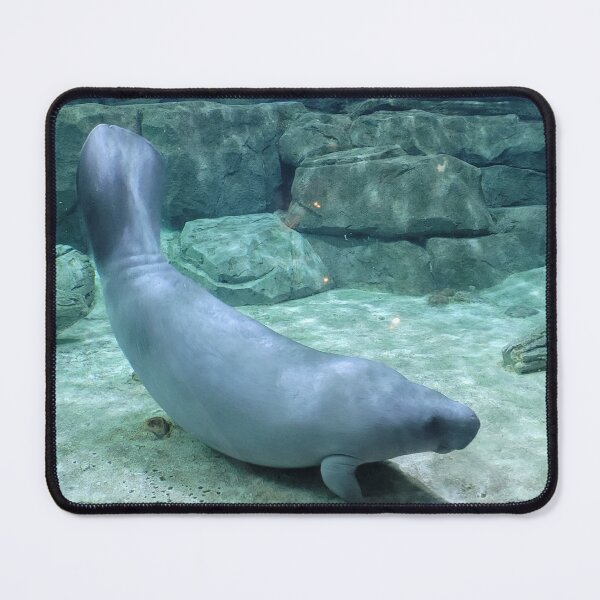 Item preview, Manatee designed and sold by CountryCrafters.