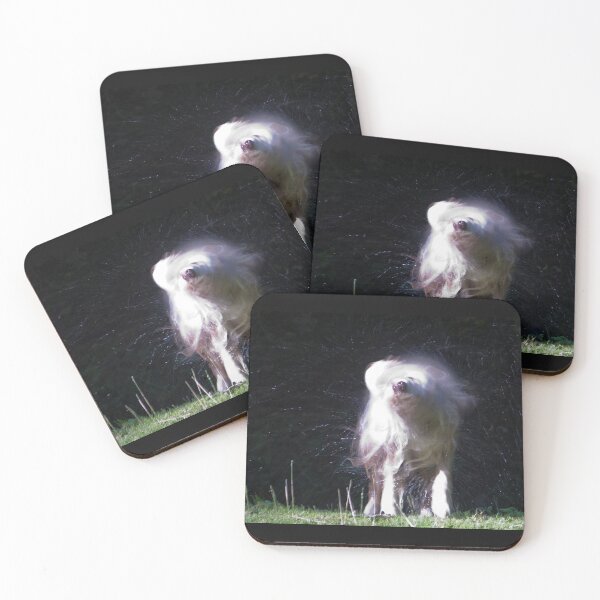 Item preview, Spray designed and sold by Paul Thompson Photography.