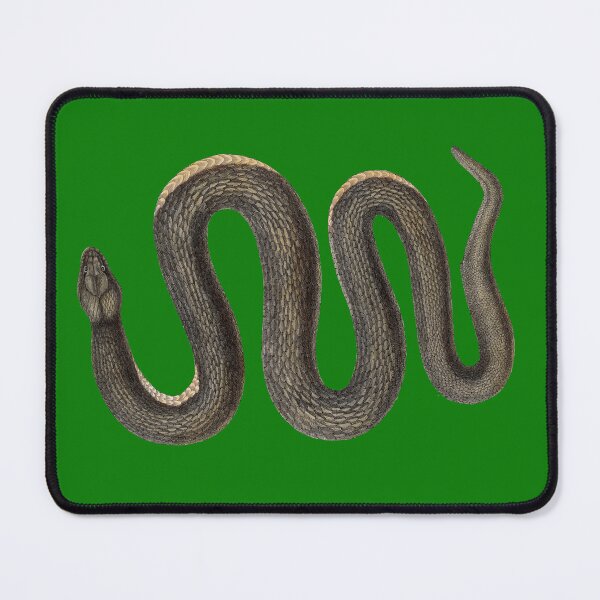 Item preview, Snake designed and sold by MyInspiredPrint.
