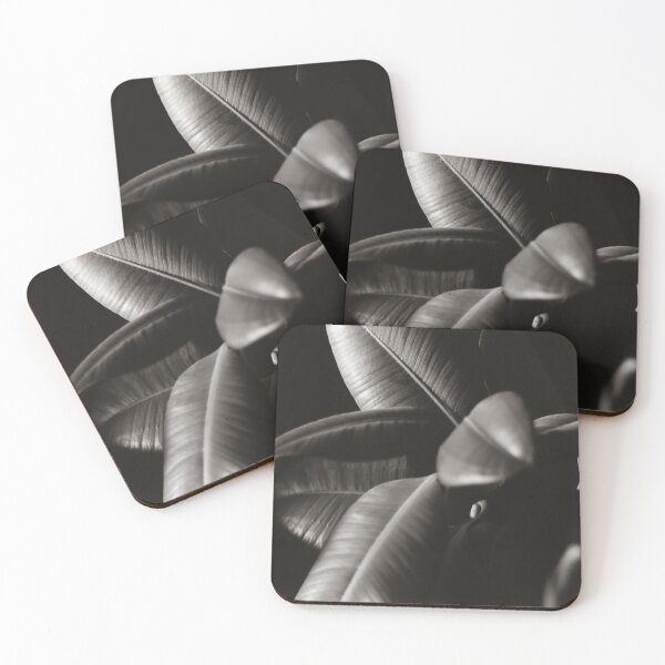 Item preview, Ficus elastica - in black and white designed and sold by minneyael.