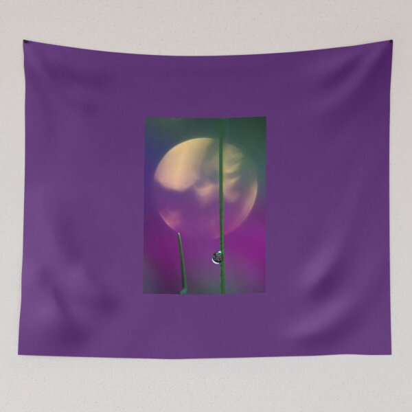 Item preview, Magic Macro designed and sold by AnnieSnel.