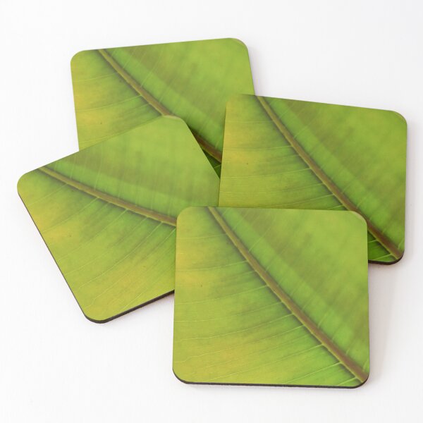 Item preview, Ficus elastica - Chlorophyll - in color designed and sold by minneyael.