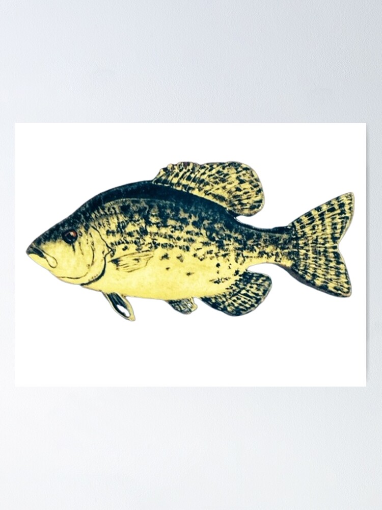 Crappie Poster 