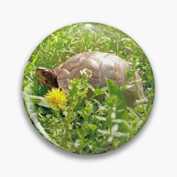 Item preview, A Happy Morning Turtle in the Field designed and sold by TheVoid137.