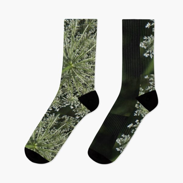 Item preview, Green and Queen Ann's Lace Details designed and sold by Alanafinephoto.