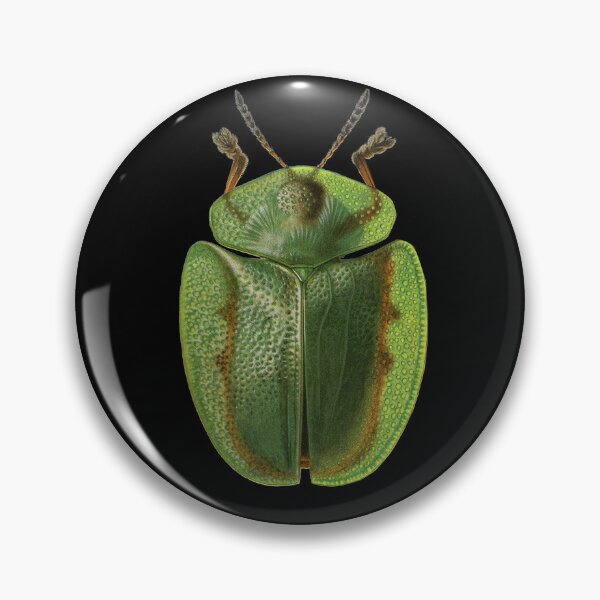 Item preview, Beetle designed and sold by MyInspiredPrint.