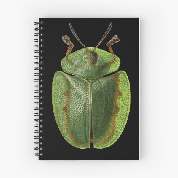 Item preview, Beetle designed and sold by MyInspiredPrint.