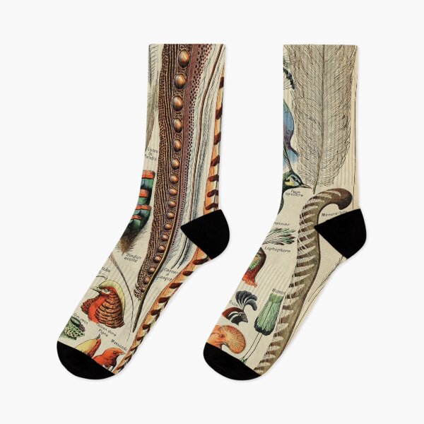 Item preview, Vintage Feather Illustration designed and sold by Corrie Mick.