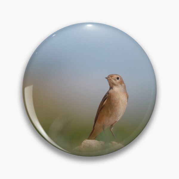 Item preview, On lookout designed and sold by miradorpictures.