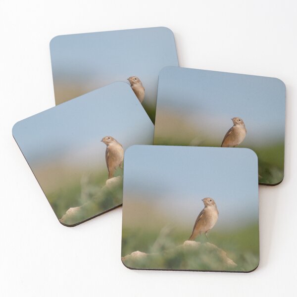 Item preview, On lookout designed and sold by miradorpictures.