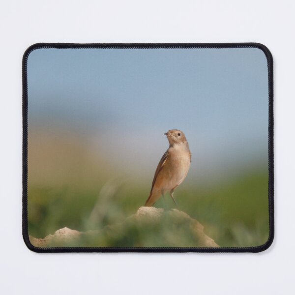 Item preview, On lookout designed and sold by miradorpictures.