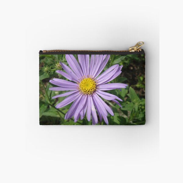 Item preview, Pretty Purple Aster Michaelmas Daisy Flower Photograph designed and sold by naturegallery.