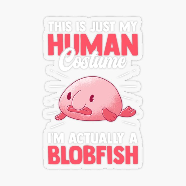 It's Blobfish's birthday  Blobfish, What's so funny, Easy anime cosplay