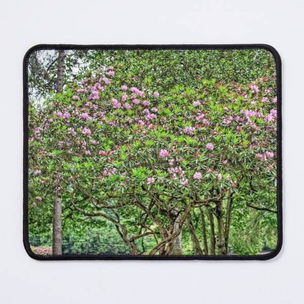 Item preview, Dunkeld Gardens designed and sold by tomg.