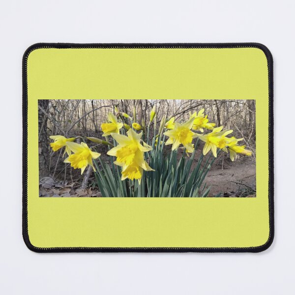 Item preview, Early to Rise (not even spring)  designed and sold by Jaroffaith.