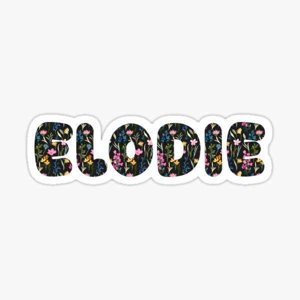 Sticker Chat sorcier • Elodie Plume