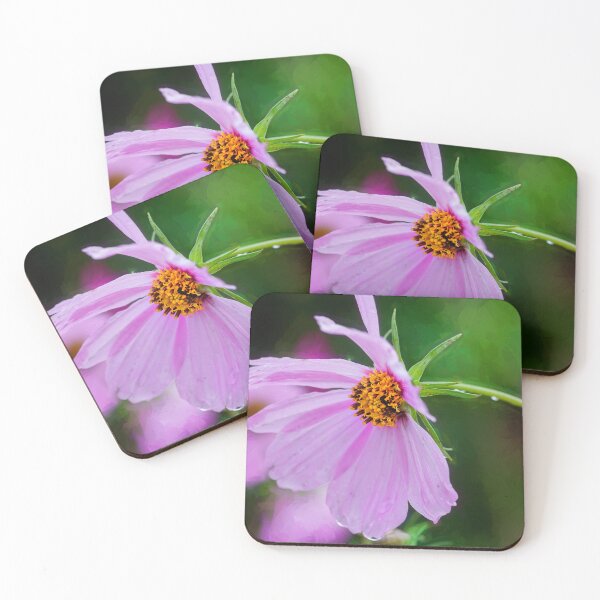Aperçu de l'œuvre Cosmos Fleurs Coreopsideae X137 créée et vendue par RichFrancoCars.