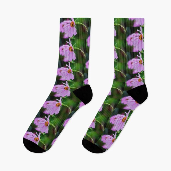 Item preview, Flores Del Cosmos Coreopsideae X137 designed and sold by RichFrancoCars.