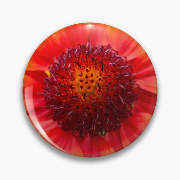 Item preview, Gaillardia Blanket Flower X100 designed and sold by RichFrancoCars.