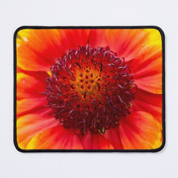 Item preview, Gaillardia Blanket Flower X100 designed and sold by RichFrancoCars.