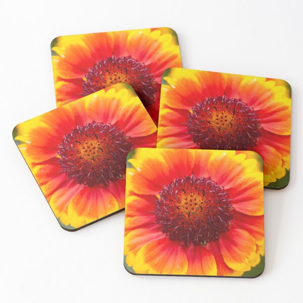 Item preview, Gaillardia Blanket Flower X100 designed and sold by RichFrancoCars.