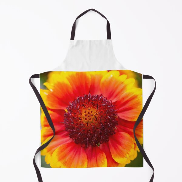 Item preview, Gaillardia Blanket Flower X100 designed and sold by RichFrancoCars.