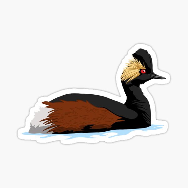 Eared Grebe Sticker