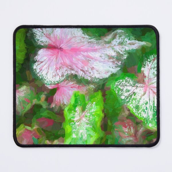 Item preview, Caladiums LOTS AND LOTS X104 designed and sold by RichFrancoCars.