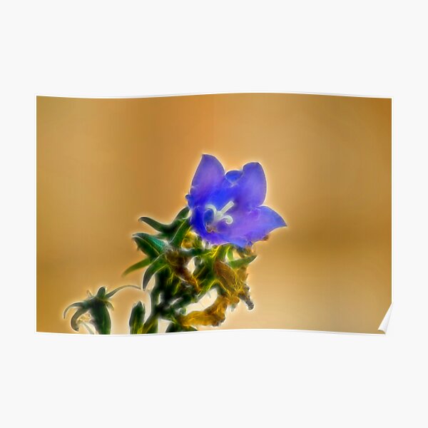 Fantasy Flower Poster
