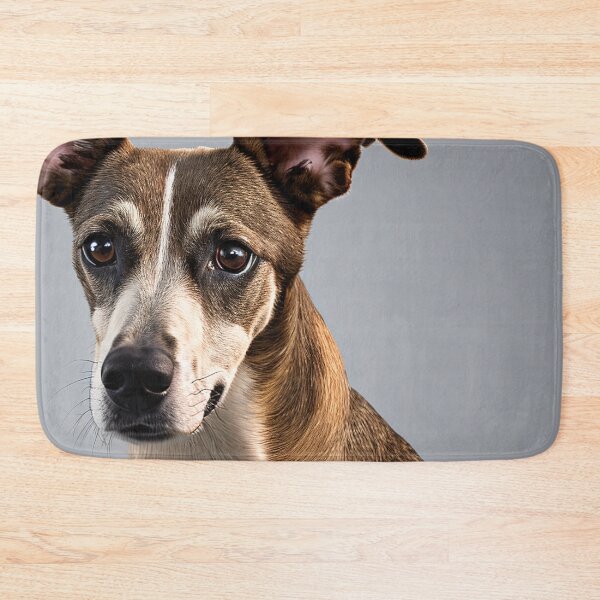 Artikelvorschau, Canine Portraits: Whippet entworfen und verkauft von DavesDogShop.