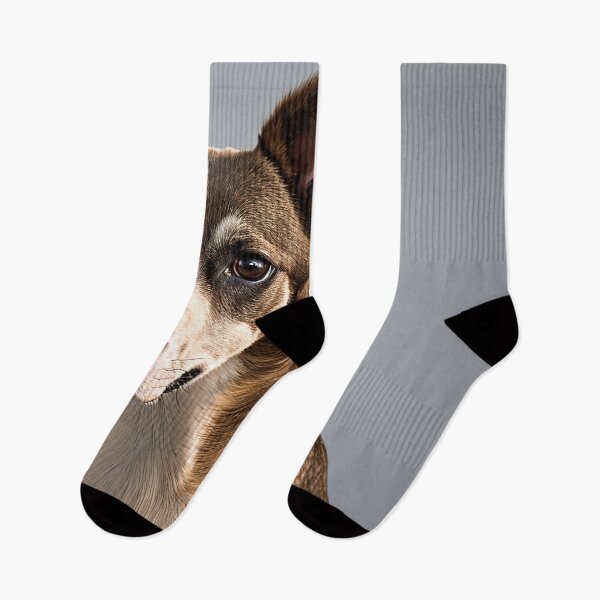 Artikelvorschau, Canine Portraits: Whippet entworfen und verkauft von DavesDogShop.