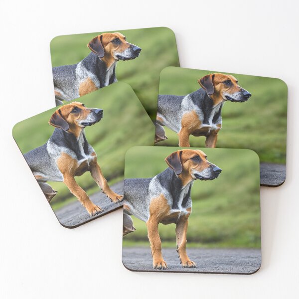 Item preview, Canine Portraits: Styrian Coarse-haired Hound designed and sold by DavesDogShop.