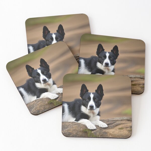 Item preview, Canine Portraits: Karelian Bear Dog designed and sold by DavesDogShop.