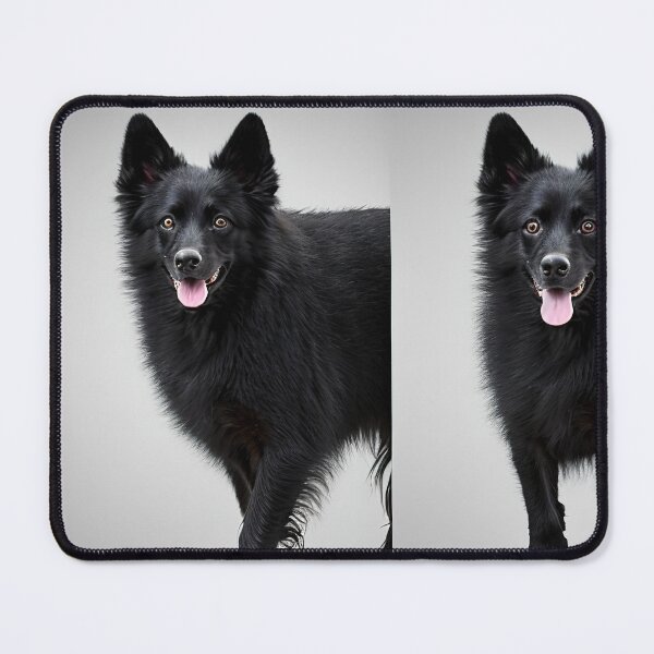 Artikelvorschau, Canine Portraits: Schipperke entworfen und verkauft von DavesDogShop.