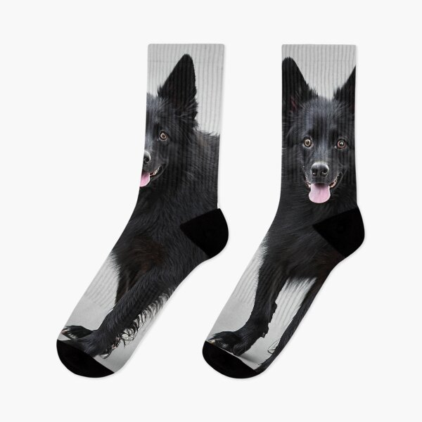 Artikelvorschau, Canine Portraits: Schipperke entworfen und verkauft von DavesDogShop.