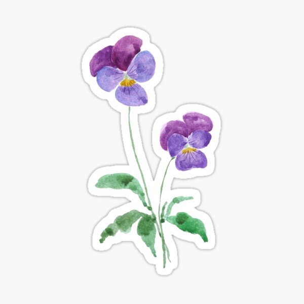 Item preview, 2 little purple pansies watercolour hand painted  designed and sold by ColorandColor.