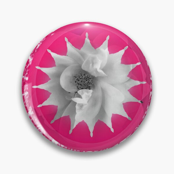 Item preview, White Rose with Hot-Pink lace trim by Iritof designed and sold by iritof.
