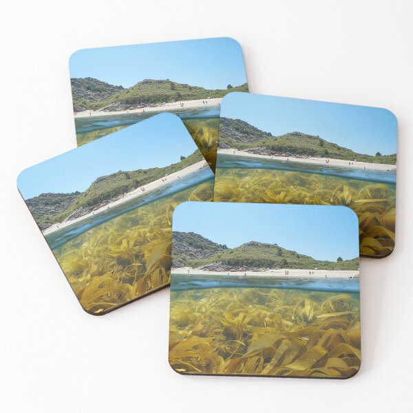 Item preview, Spain Atlantic coast beach in summer with kelp seaweeds in the ocean designed and sold by Seaphotoart.