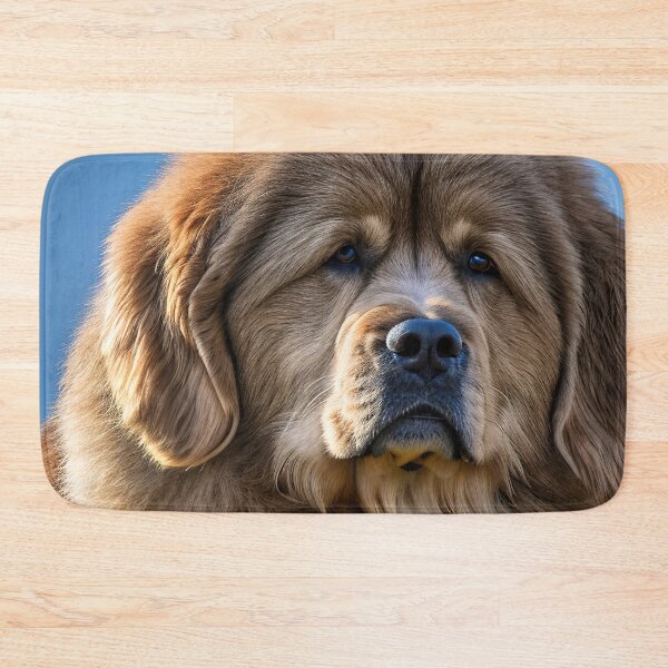 Artikelvorschau, Canine Portraits: Newfoundland entworfen und verkauft von DavesDogShop.