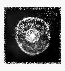 Amoeba Photographic Print