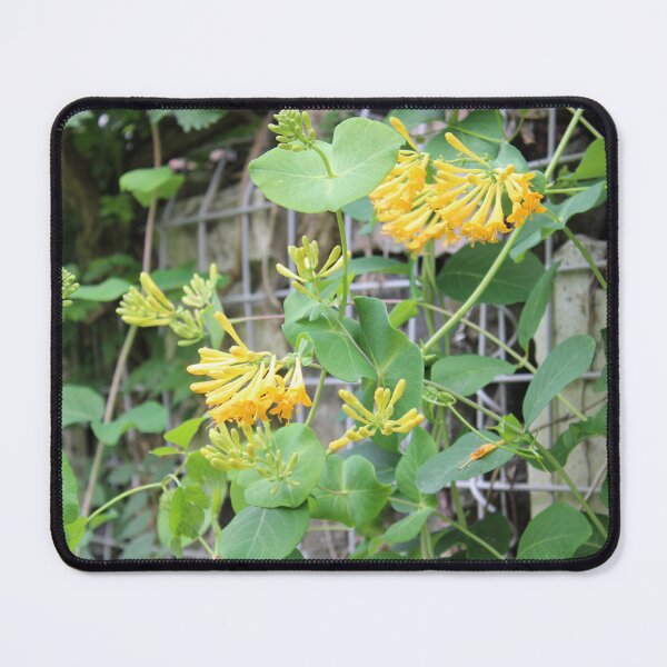 Item preview, Yellow wonder designed and sold by HopeAlways888.