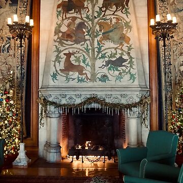 Artwork thumbnail, BILTMORE ESTATE ASHEVILLE NORTH CAROLINA by teruyalab